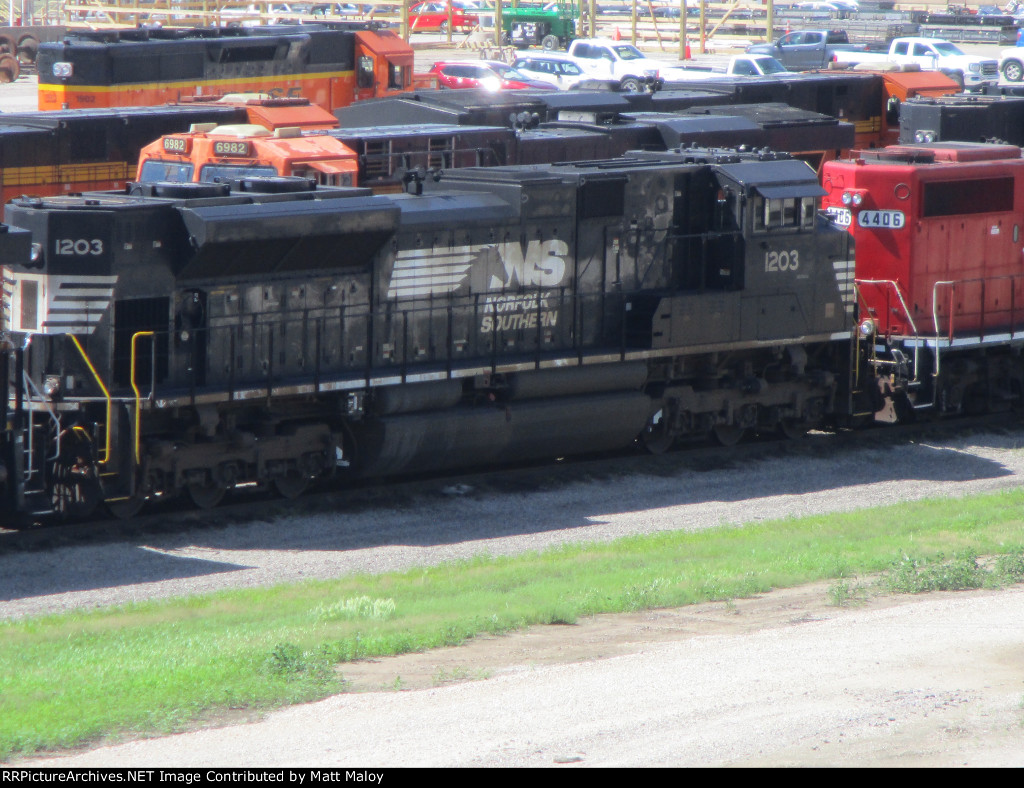 NS 1203